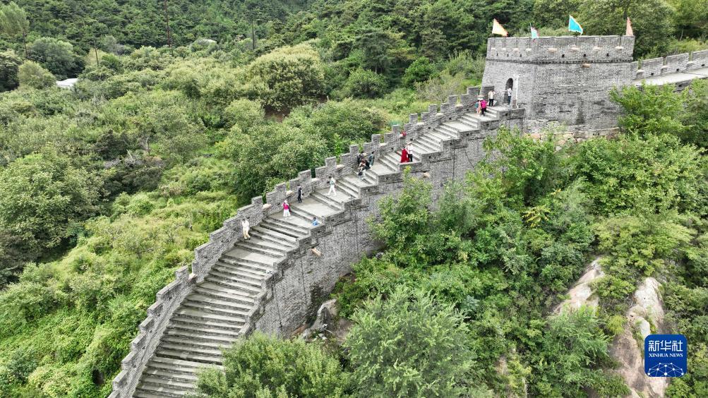 千蠃国际首页